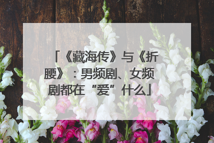 《藏海传》与《折腰》：男频剧、女频剧都在“爱”什么