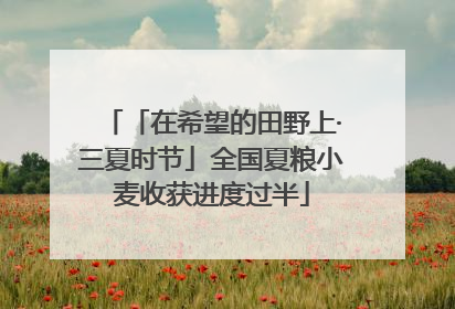 「在希望的田野上·三夏时节」全国夏粮小麦收获进度过半
