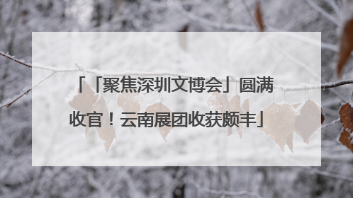 「聚焦深圳文博会」圆满收官！云南展团收获颇丰