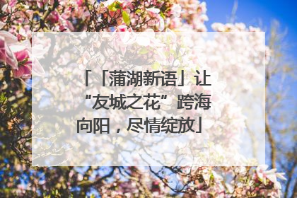 「蒲湖新语」让“友城之花”跨海向阳，尽情绽放