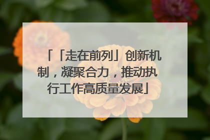 「走在前列」创新机制，凝聚合力，推动执行工作高质量发展