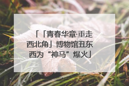 「青春华章·重走西北角」博物馆丑东西为“神马”爆火