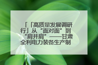「高质量发展调研行」从“面对面”到“肩并肩”——甘肃全利电力装备生产制造项目一线见闻