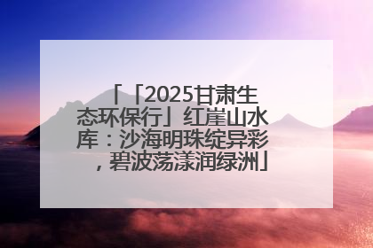 「2025甘肃生态环保行」红崖山水库：沙海明珠绽异彩，碧波荡漾润绿洲