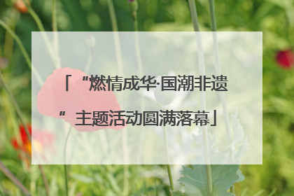 “燃情成华·国潮非遗”主题活动圆满落幕