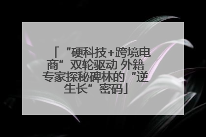 “硬科技+跨境电商”双轮驱动 外籍专家探秘碑林的“逆生长”密码