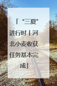 “三夏”进行时丨河北小麦收获任务基本完成