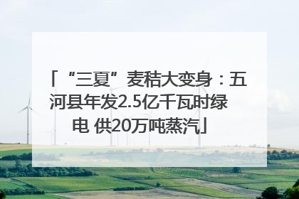 “三夏”麦秸大变身：五河县年发2.5亿千瓦时绿电 供20万吨蒸汽