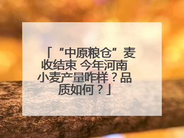 “中原粮仓”麦收结束 今年河南小麦产量咋样？品质如何？