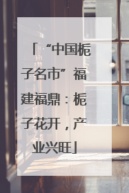 “中国栀子名市”福建福鼎：栀子花开，产业兴旺