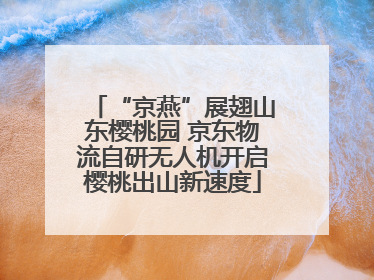 “京燕”展翅山东樱桃园 京东物流自研无人机开启樱桃出山新速度