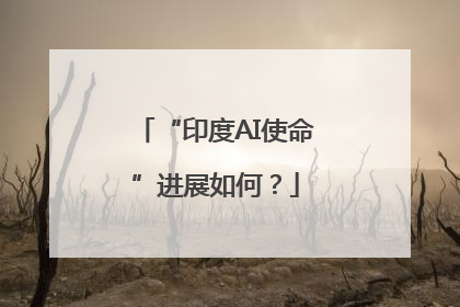 “印度AI使命”进展如何？