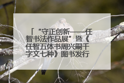 “守正创新——任智书法作品展”暨《任智五体书周兴嗣千字文七种》图书发行仪式在京举