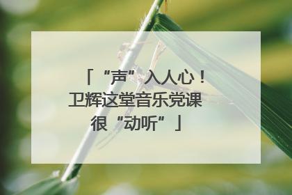 “声”入人心！卫辉这堂音乐党课很“动听”