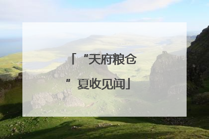 “天府粮仓”夏收见闻
