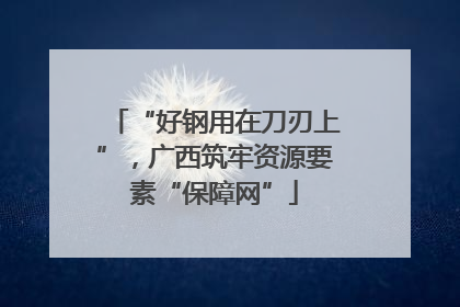 “好钢用在刀刃上”，广西筑牢资源要素“保障网”