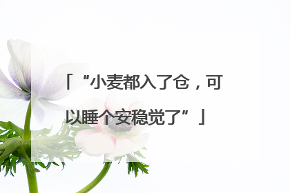 “小麦都入了仓，可以睡个安稳觉了”