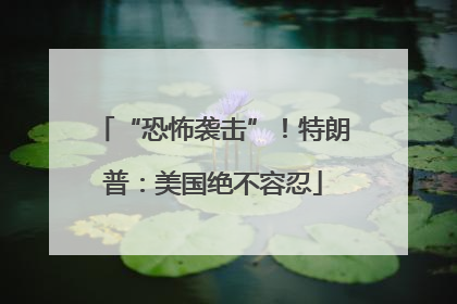 “恐怖袭击”！特朗普：美国绝不容忍