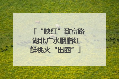“映红”致富路 湖北广水胭脂红鲜桃火“出圈”