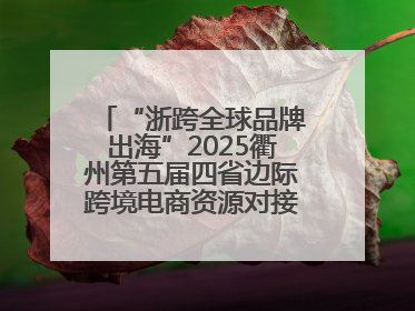 “浙跨全球品牌出海”2025衢州第五届四省边际跨境电商资源对接活动成功举办