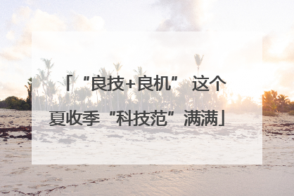“良技+良机” 这个夏收季“科技范”满满