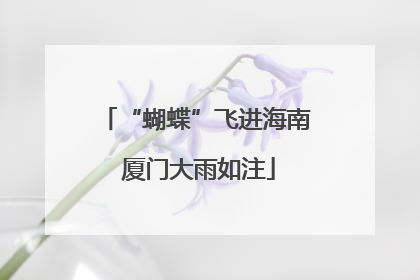 “蝴蝶”飞进海南 厦门大雨如注