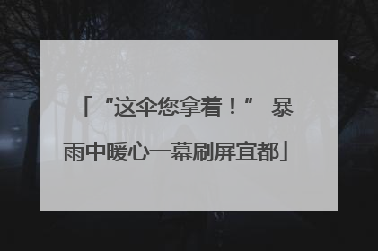 “这伞您拿着！” 暴雨中暖心一幕刷屏宜都