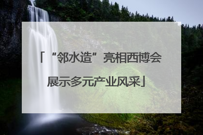 “邻水造”亮相西博会 展示多元产业风采