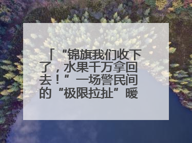 “锦旗我们收下了，水果千万拿回去！”一场警民间的“极限拉扯”暖了整个城