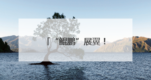 “鲲鹏”展翼！“运-20”入驻西北工业大学