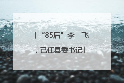 “85后”李一飞，已任县委书记