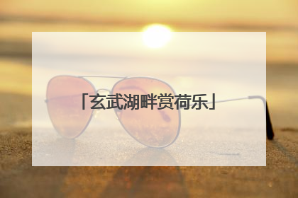 玄武湖畔赏荷乐