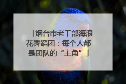 烟台市老干部海浪花舞蹈团：每个人都是团队的“主角”