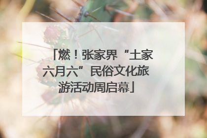 燃！张家界“土家六月六”民俗文化旅游活动周启幕