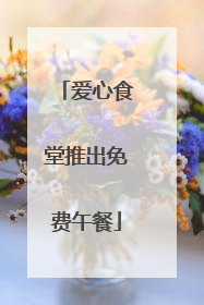爱心食堂推出免费午餐