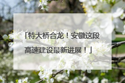 特大桥合龙！安徽这段高速建设最新进展！