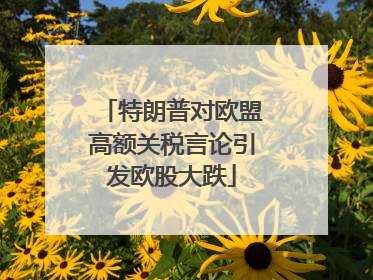 特朗普对欧盟高额关税言论引发欧股大跌