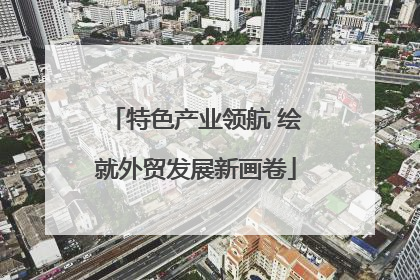 特色产业领航 绘就外贸发展新画卷