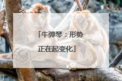 牛弹琴：形势正在起变化