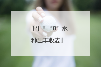 牛！“0”水种出丰收麦