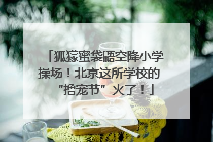 狐獴蜜袋鼯空降小学操场！北京这所学校的“撸宠节”火了！