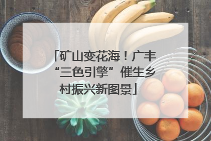 矿山变花海！广丰“三色引擎”催生乡村振兴新图景