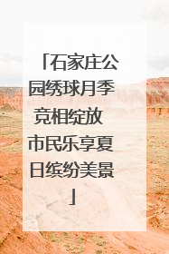 石家庄公园绣球月季竞相绽放 市民乐享夏日缤纷美景