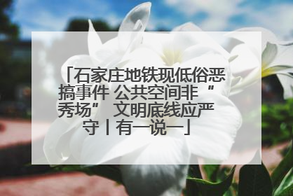 石家庄地铁现低俗恶搞事件 公共空间非“秀场” 文明底线应严守丨有一说一