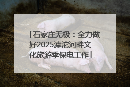 石家庄无极：全力做好2025滹沱河畔文化旅游季保电工作