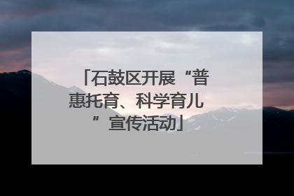 石鼓区开展“普惠托育、科学育儿”宣传活动