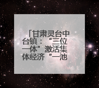 甘肃灵台中台镇：“三位一体”激活集体经济“一池春水”