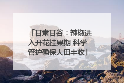 甘肃甘谷：辣椒进入开花挂果期 科学管护确保大田丰收