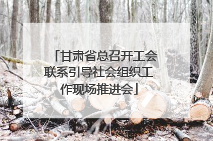 甘肃省总召开工会联系引导社会组织工作现场推进会