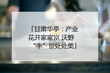 甘肃华亭：产业花开家家富 沃野“丰”景处处美
